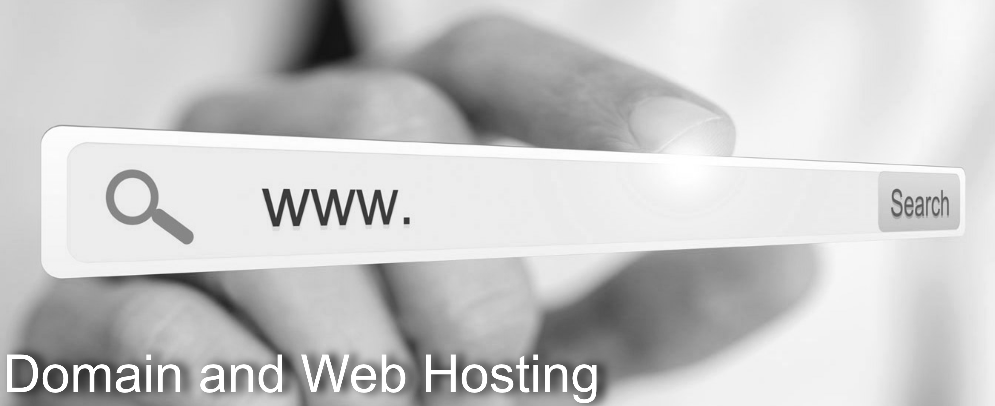 Domain and Web Hosting